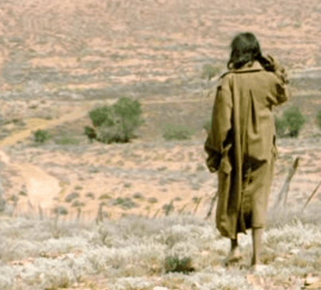 An Aussie Expedition: “Rabbit-Proof Fence” (2002)